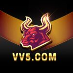 vv5.com